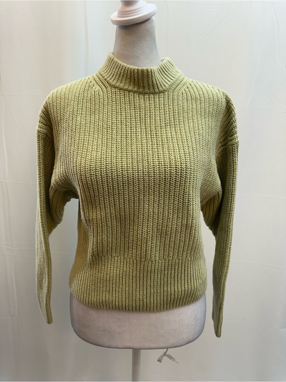 Everlane Light Green Ribbed Mock Neck Sweater XS